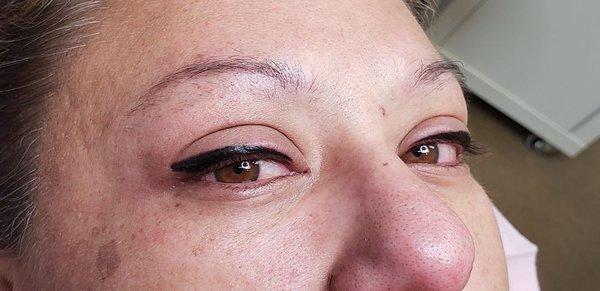 Metamorphosis Microblading