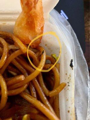 Bug in chow mein