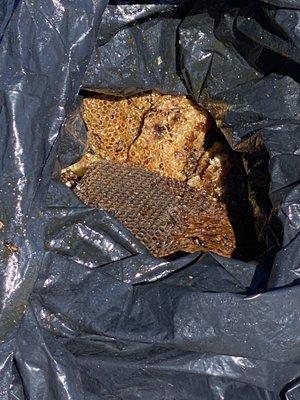 Two bags of honeycomb