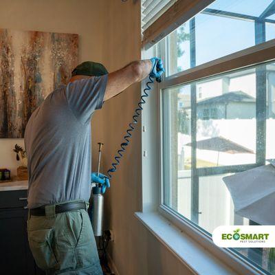 Pest Control Technician treating window crevices for various pests.