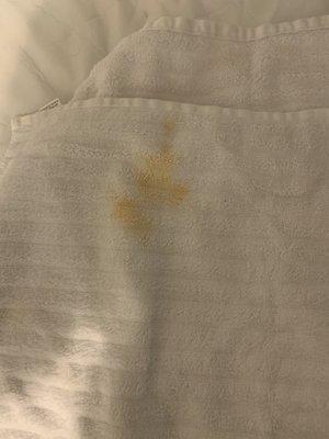 Washer left rust all over clothing. Owner would not even refund the measly $5