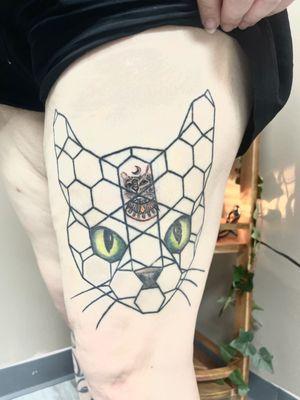 Filled in 2 spots for a hexa cat