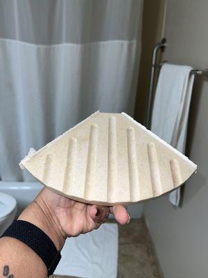 Tile that fell off while my daughter was showering.