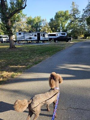 Yucaipa Regional Park