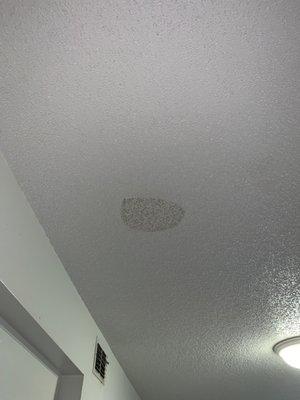 leak over dining room which they sprayed with something and left it.