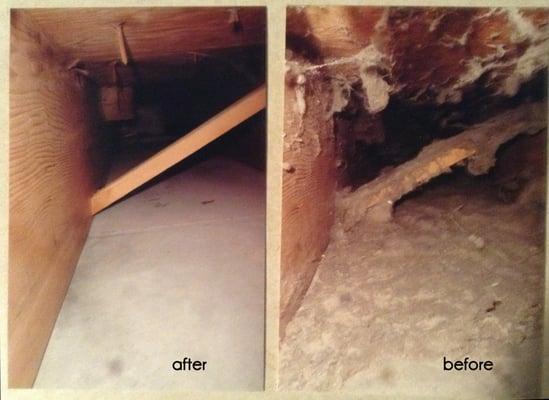 Before and after pictures of my ducts from Dirty Ducts Cleaning. Amazing!