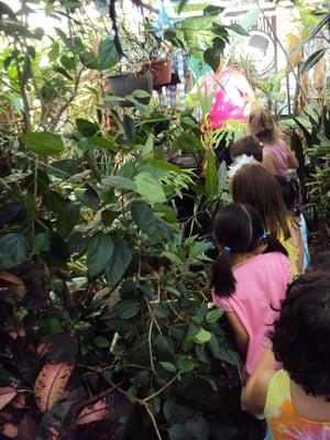 Exploring our Greenhouse!