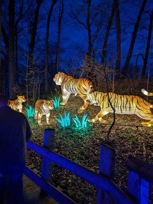 Grand Rapids Lantern Festival - JBZ - April 2023