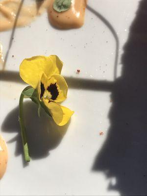 More flowers on the plate