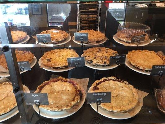 Yummy selection of pies!