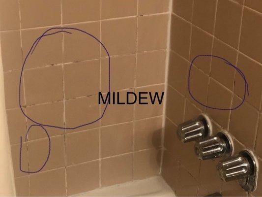 Mildew in bathroom grout room 128