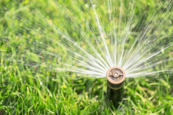 Carefree turf and planting bed irrigation.