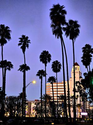 Downtown Long Beach