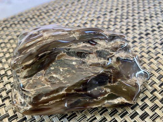 Black hills tree fossil, polished. Note the little red rock in the fossil? So cool