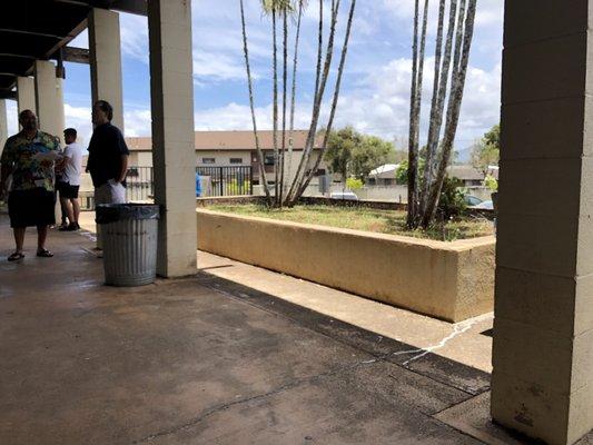 Stand or sit on the concrete planters. I highly recommend bringing a chair to wait for your number to be called.