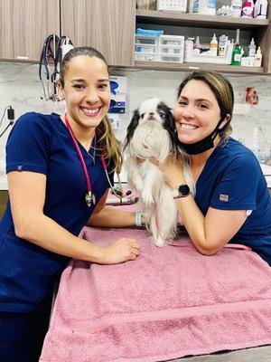 Delray Beach Animal Hospital