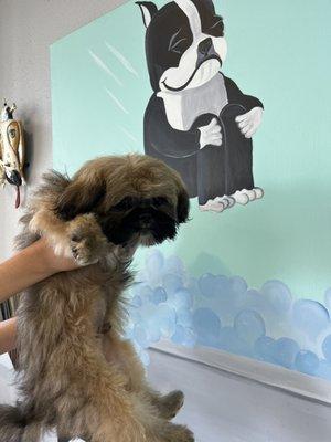 Bark Place Dog Grooming