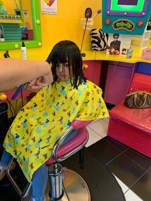 Snip-its Haircuts for Kids