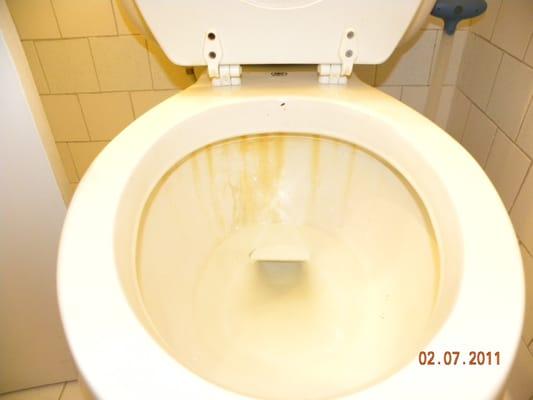 This is a before picture of a client that would have had to change his toilet in his business.