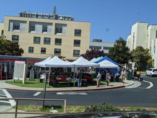 Farmers market at the va