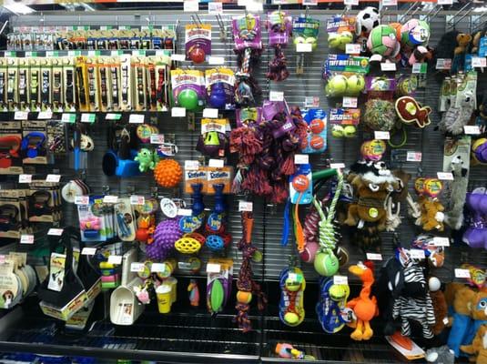 Selection of toys for your four legged family members.