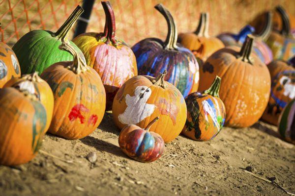 We have a pumpkin decorating station.