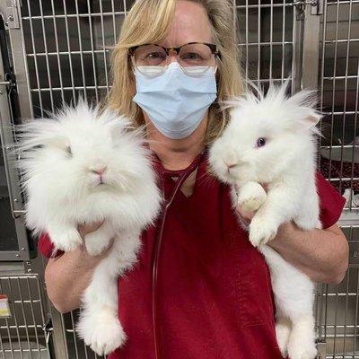 Dr. Rupley with 2 rabbit patients