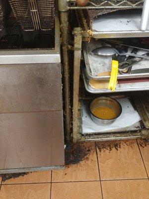 This is one of the shelves next to the fryer. Theres spoons and tongs on here used to prep food. GROSS!