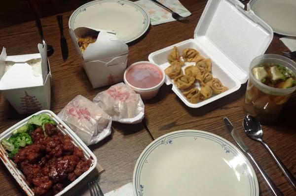 General Tso's chicken, pork fried rice, fried wontons, egg rolls - all amazing