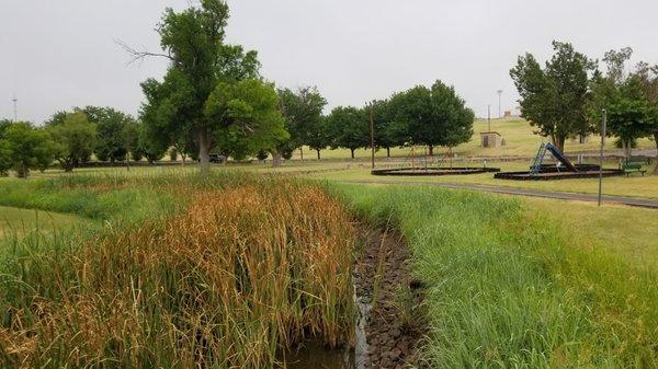 Nature area, playground to the right