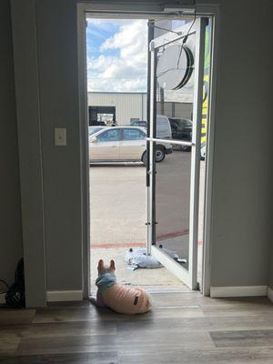 Shop  dog, front door