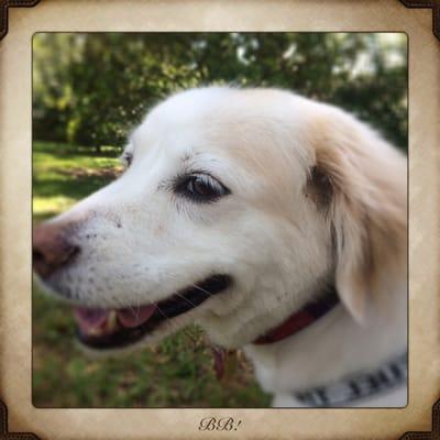 BB is all smiles during her afternoon walk.