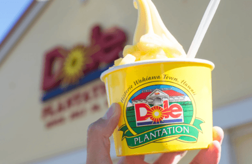 Charters to the Dole Plantation