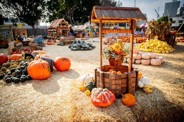 Our wishing well where people wish to come to Shawn's Pumpkin patch every day of the season...