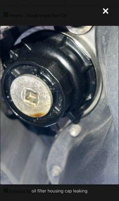 Oil filter housing cap