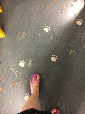 Adorable floor