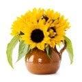 Sunflowers Healing and Wellness is committed to helping you find happiness and stability in your life.