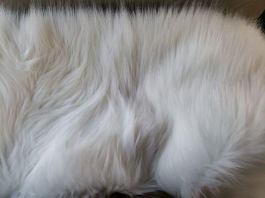 My favorite faux fur vest on it's way to be cleaned.