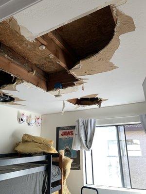 Roof leak