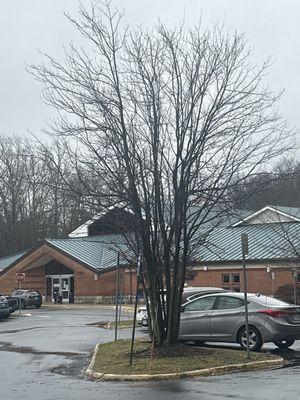 George Mason Regional Library