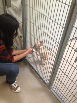 Santa Barbara County Animal Shelter