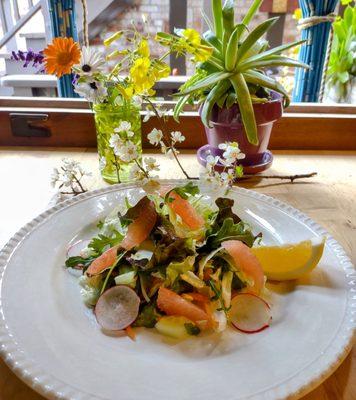 ''Seasonal Mix Greens Salad'' made with radish, cucumber, mix greens, grapefruit segments, shredded carrot & homemade Sauerkraut