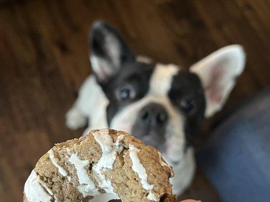 They sell dog donuts!