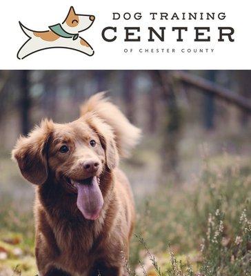 Dog Training Center of Chester County