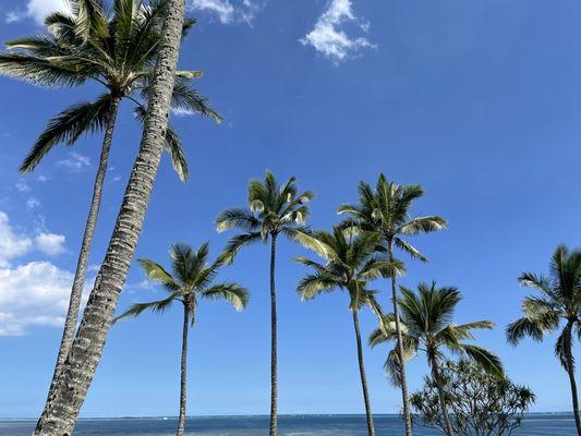 He'eia State Park