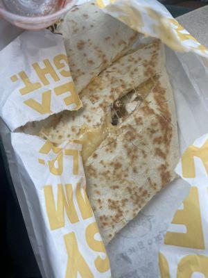 Chicken quesadilla, what a delight!!!