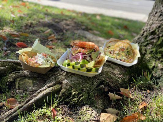 OG Fish Taco, Mixed Ceviche, and Baja Octopus Taco (total: $20 with tax and tip)