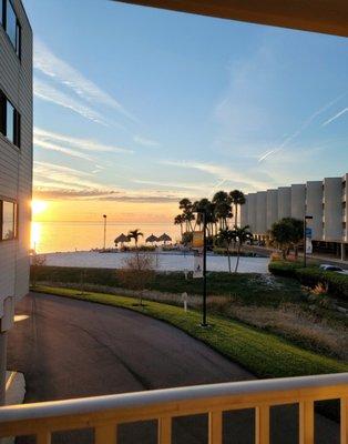 View of Tampa Bay from our balcony (2nd floor)