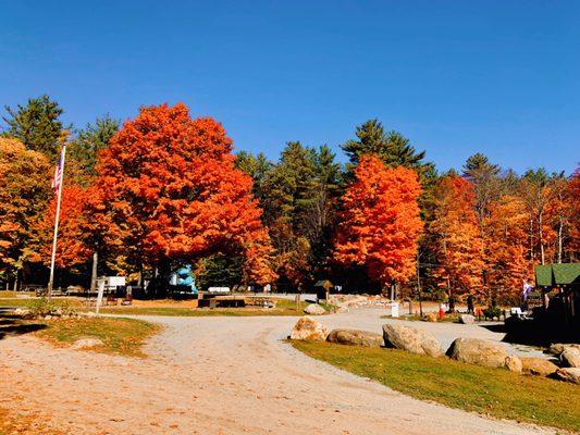 Spacious Skies Campgrounds-Seven Maples