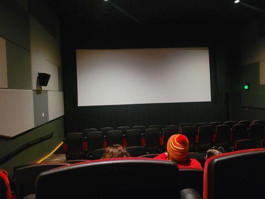 The smallest of the 3 screens at the theater.